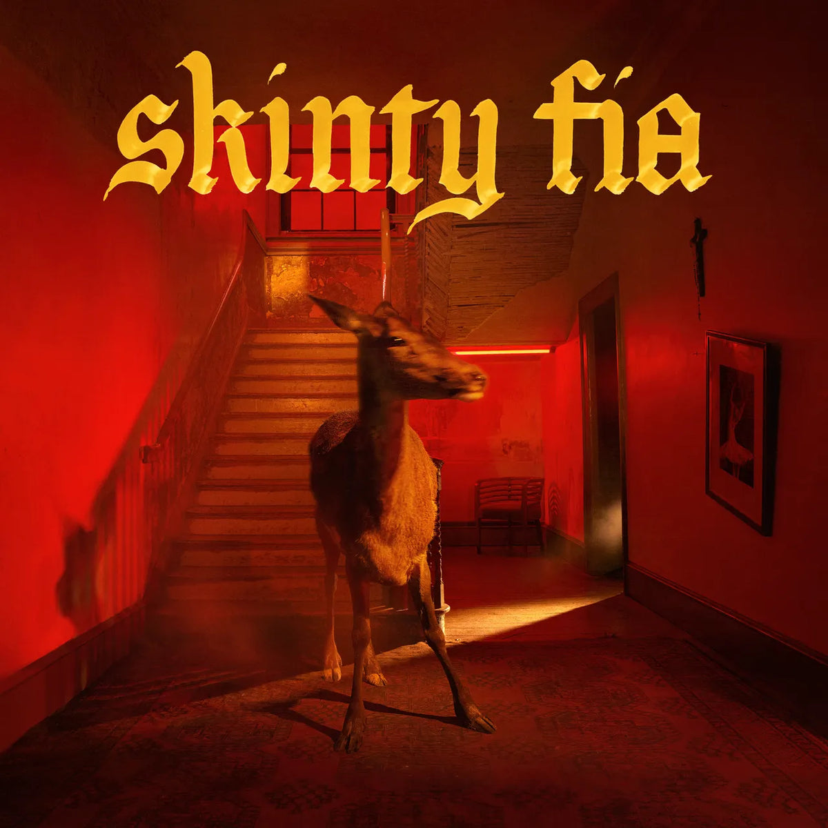Fointaines D.C - Skinty Fia
