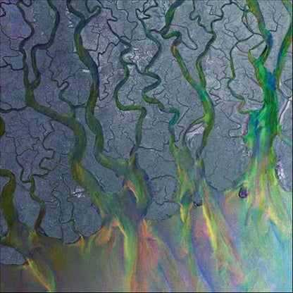 An Awesome Wave- Alt-J