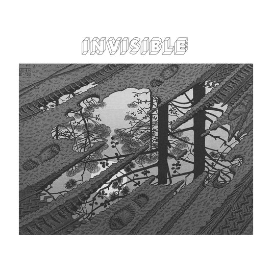 Invisible - Invisible