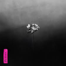 Little Simz- Lotus